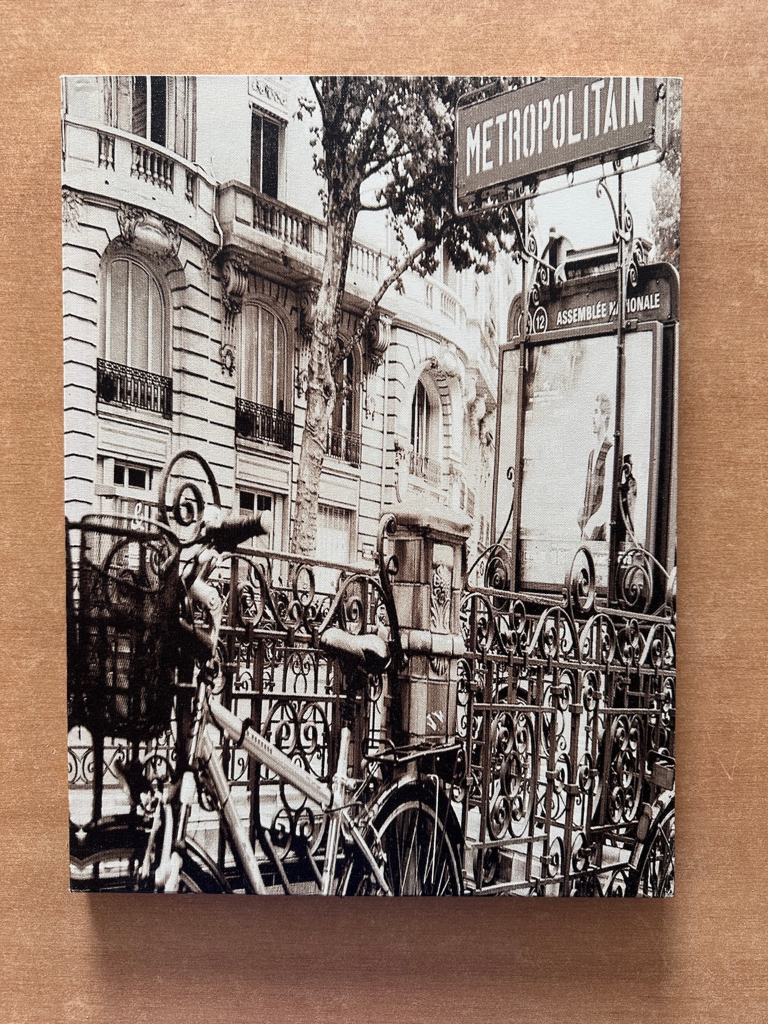 Tableau du métro parisien représentant la station Assemblée Nationale avec un vélo
